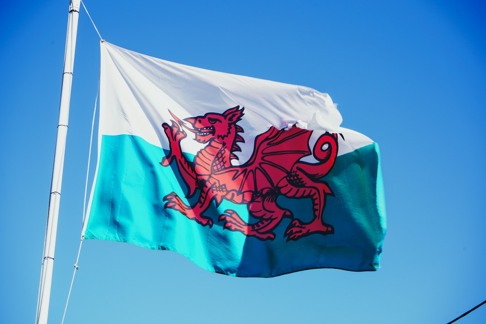 Beginner Welsh Lessons