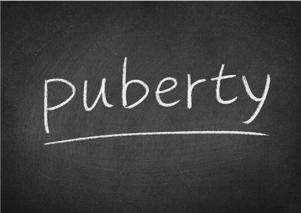 Puberty and our bodies