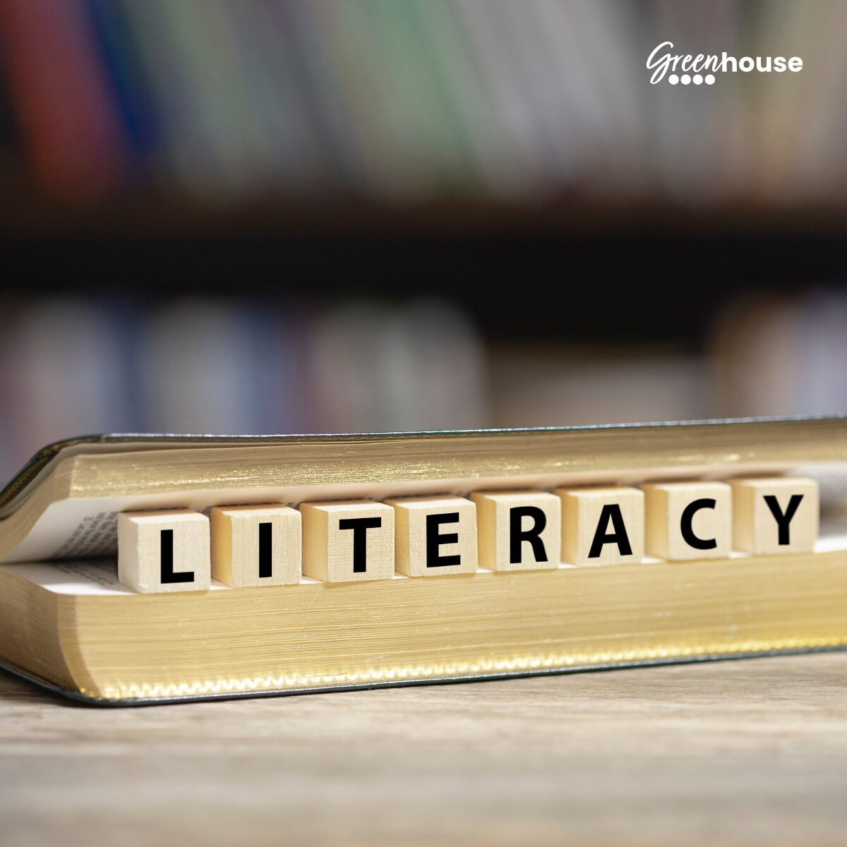 Literacy, English Literature – KS3 Stage 2