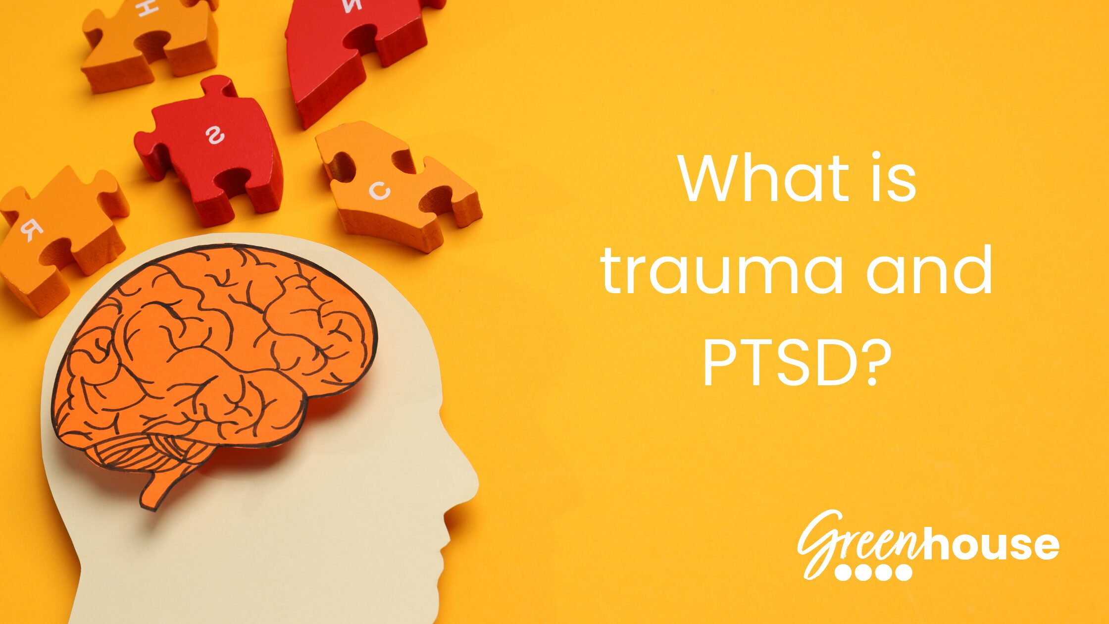 What is trauma and PTSD?